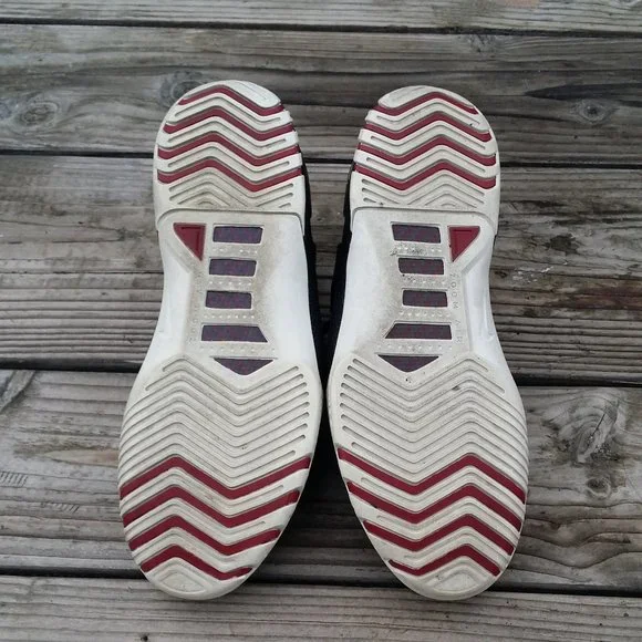 Men 2004 Nike Air Zoom Generation LeBron James Basketball Shoes Sneakers